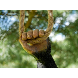 Climbing Monkey Ornament Outdoor Garden Resin Tree Hanging Sculpture Statue - Image 5