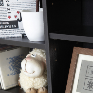 Large Media Storage CD DVD Cabinet Black Furniture Modern Room Tall Display Unit - Image 4