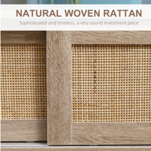 Rustic Coffee Table Woven Rattan Style Storage Door Wooden Shelf Room Furniture - Image 4