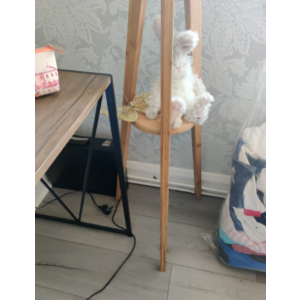 Wooden Floor Lamp Vintage Storage Display Shelf Tall Tripod Free Standing Shade - Image 4